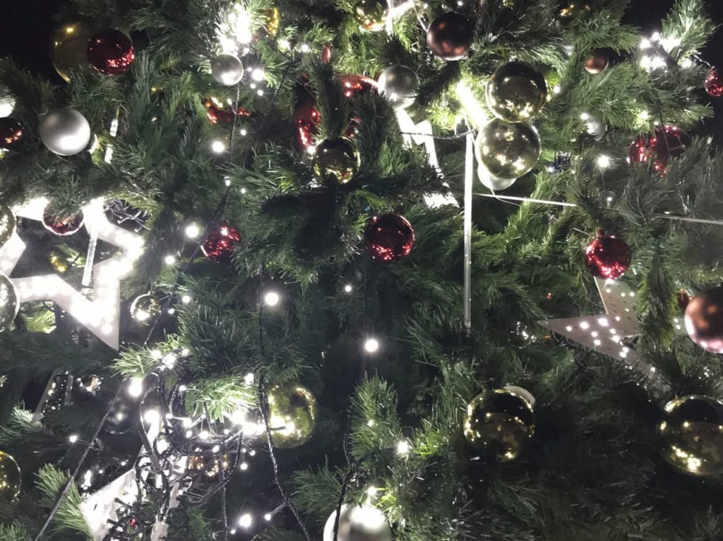 万代中央ふ頭に設置されたクリスマスツリー