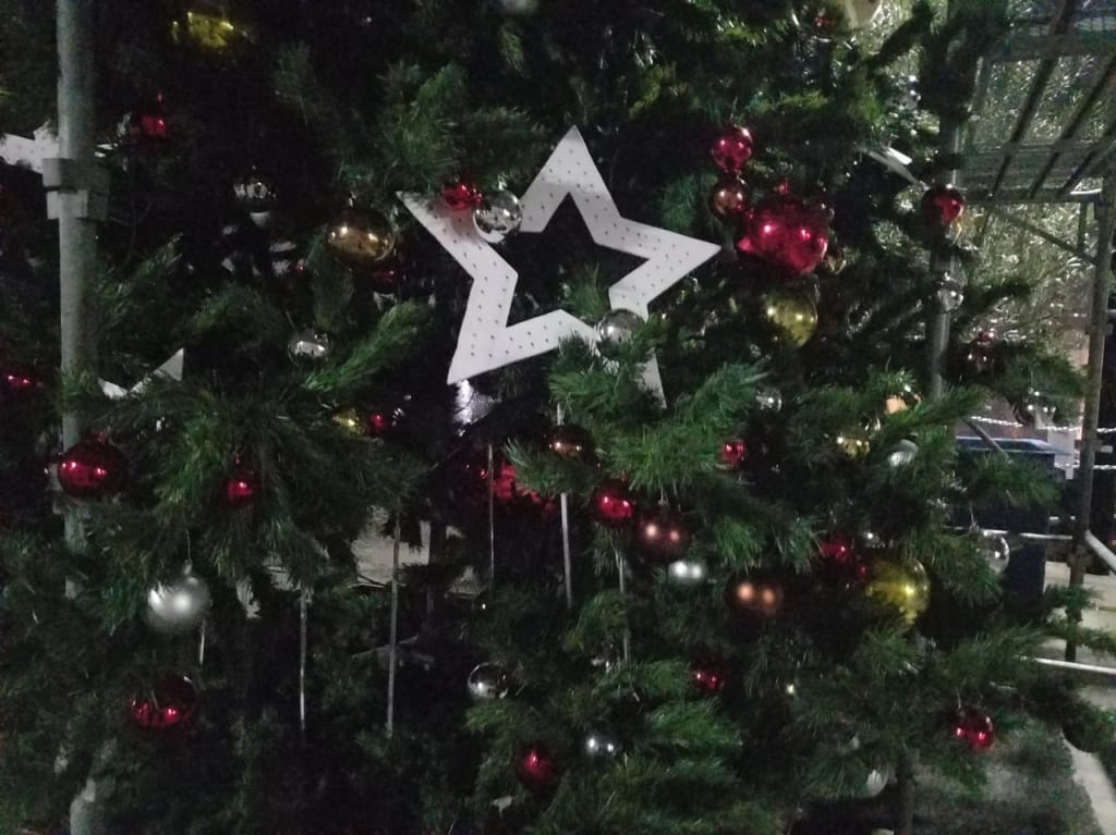 オーナメントで飾りつけされたクリスマスツリー
