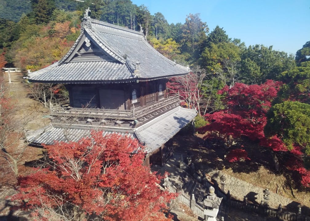 箸蔵寺のロープーウェイからみ見た紅葉