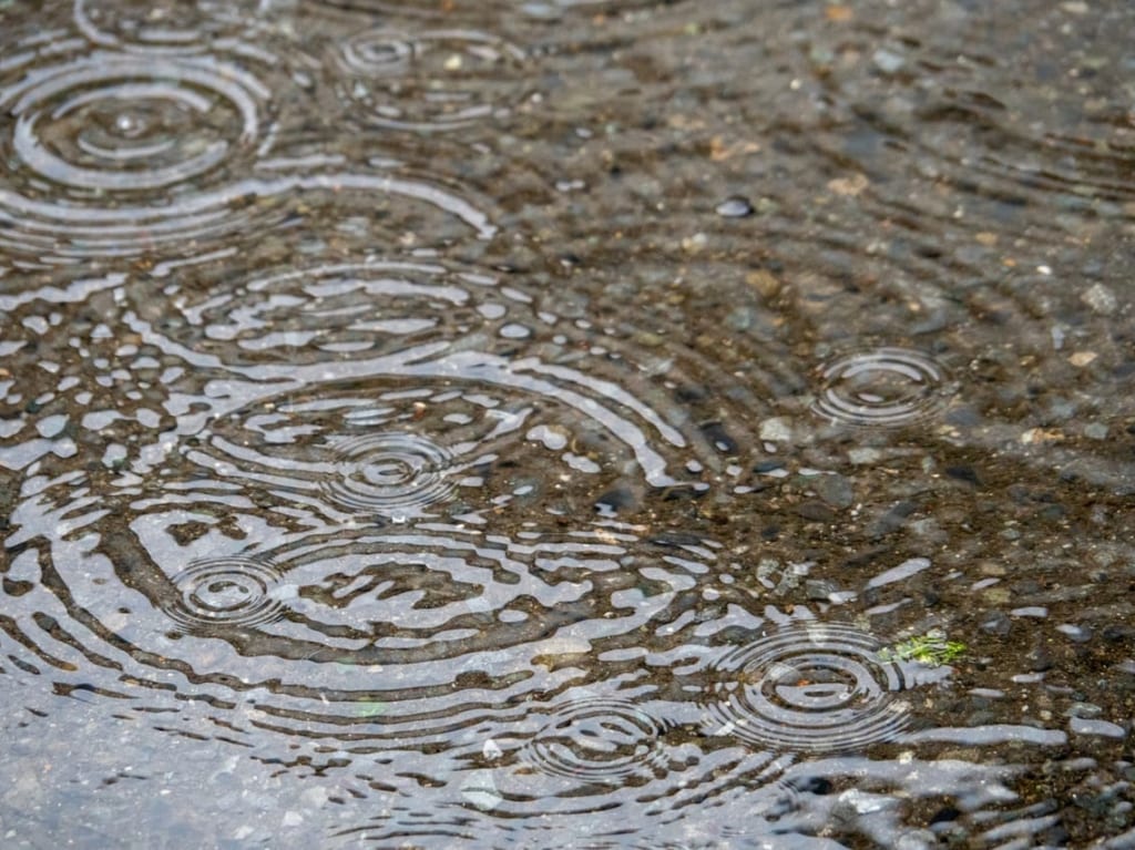 雨