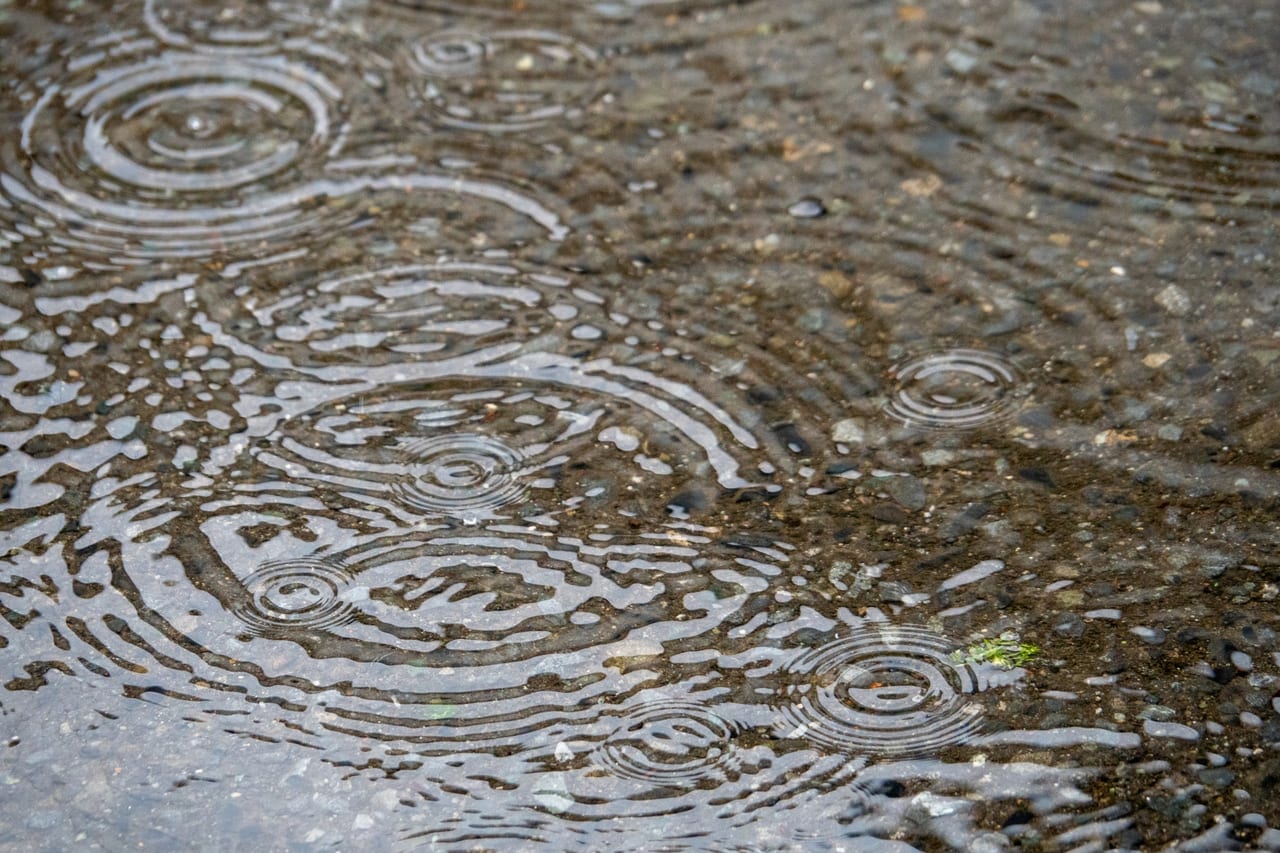 雨