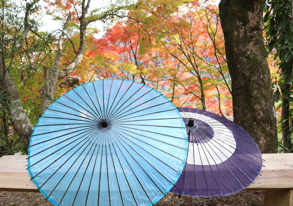 和傘と紅葉