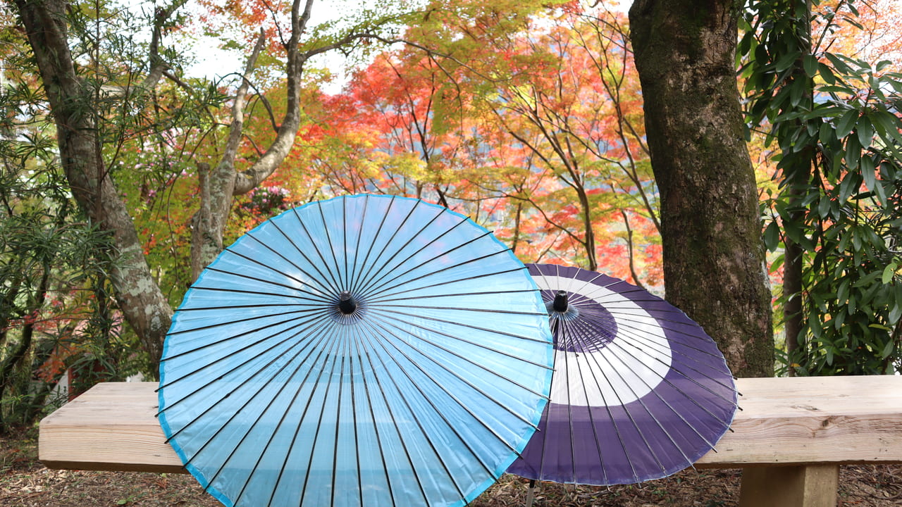 和傘と紅葉