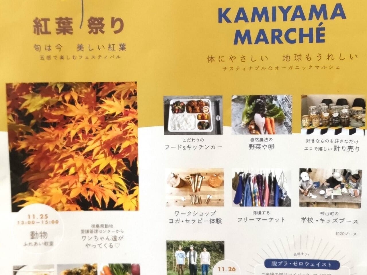 「神山森林公園紅葉祭り・神山マルシェ」のチラシ。画像提供：「情報提供者名は非公開希望」様
