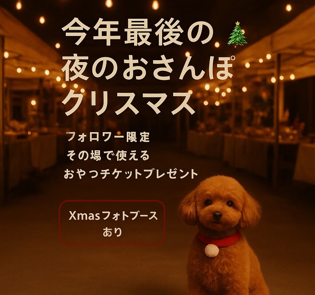今年最後の「夜のおさんぽクリスマス」イベント関連画像：「関係者」様