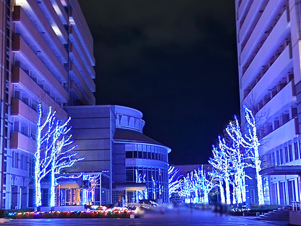 「德島文理大学·德島文理大学短期大学部 イルミネーション2025」イルミネーション。