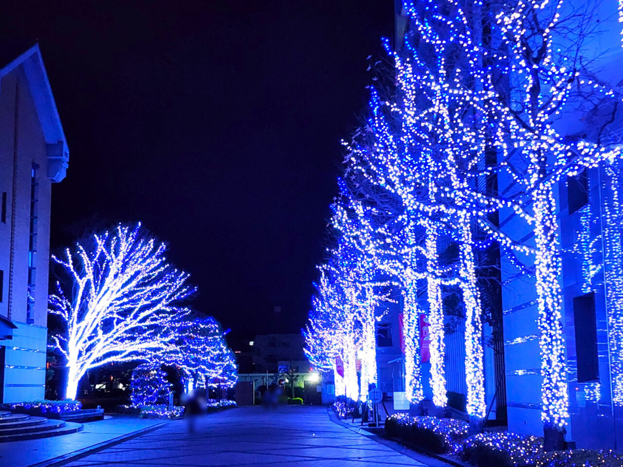 「德島文理大学·德島文理大学短期大学部 イルミネーション2025」イルミネーション。