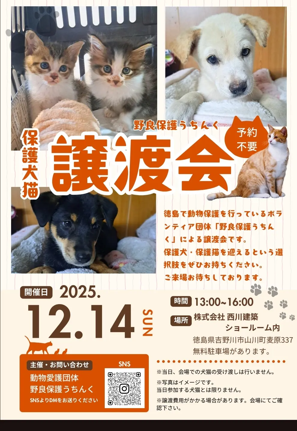 「保護犬猫の譲渡会」イベントに関する画像。画像提供:「関係者」様