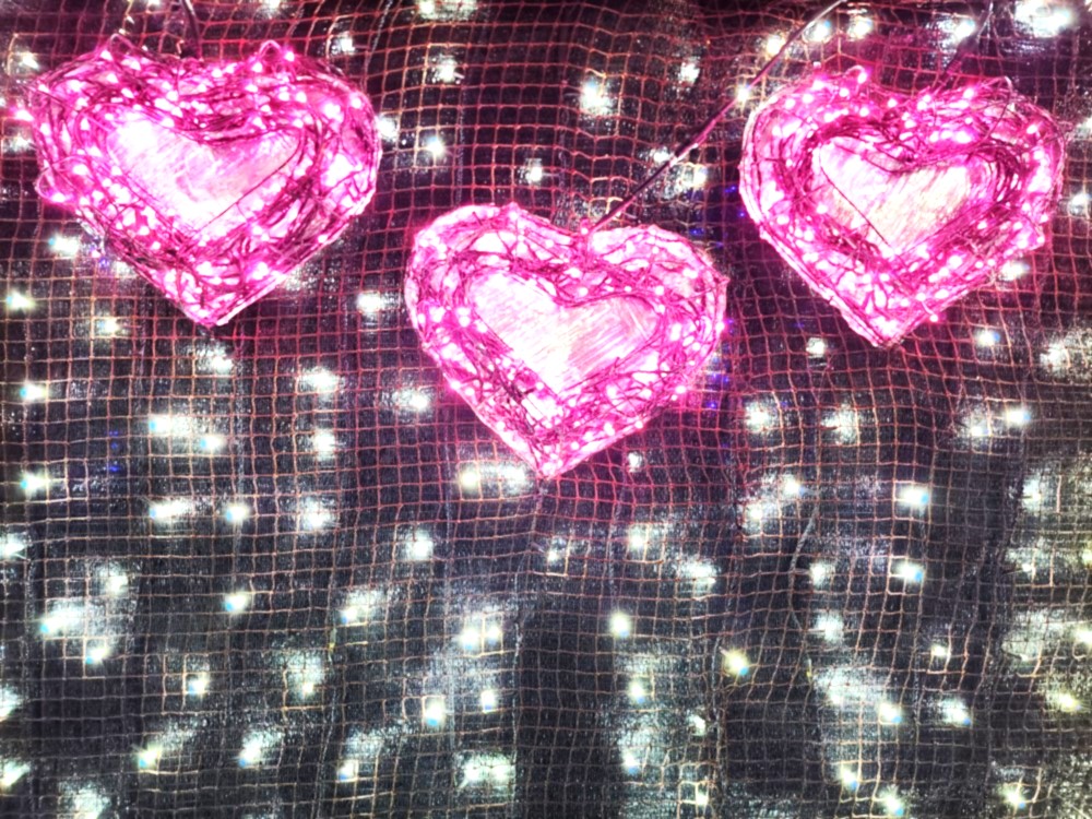 「夢ナリエ・城内メモリアル」イルミネーション